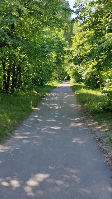 В дорогу