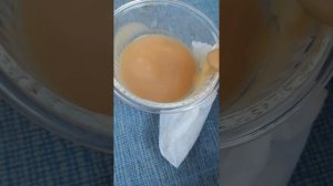 VID_20260608_183442.mp4