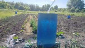 На огороде)) След в небе))