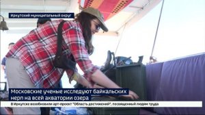 Московские ученые впервые исследуют байкальских нерп на всей акватории озера