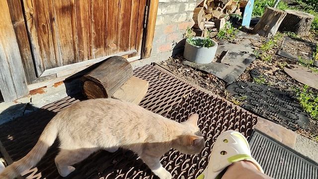 Саратов 08.06.26 что происходит прямо сейчас смотреть онлайн