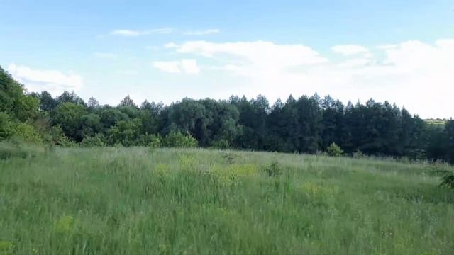проверяю ловушки, часть 4 смотреть онлайн