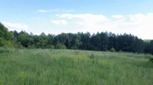 проверяю ловушки, часть 4