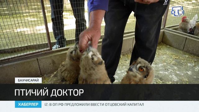 Талят Меджитов ухаживает за животными в бахчисарайском парке миниатюр смотреть онлайн