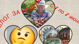 Влог за неделю с 1 по 7 июня:вышивка 4 процессов, поездка,огород....
