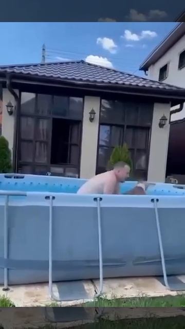 собака хочет купаться