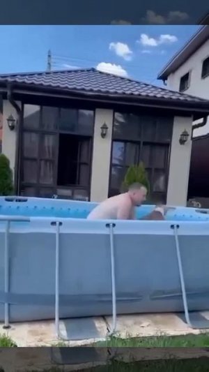 собака хочет купаться
