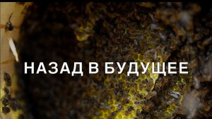 НАЗАД В БУДУЩЕЕ. ПОВТОР