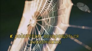 Она потеряла крышу над головой за отказ #развести# старушку! Но потом сама стала хозяйкой дома и ...