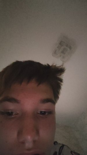 Что я думаю о дел и апельсинее гд