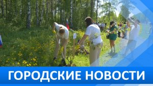 Городские новости 8 июня 2026