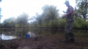 В затон за вечерним карасем удача не подвела.