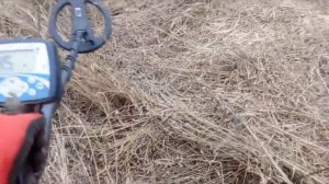 январь радует находками