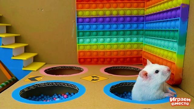 ХОМЯК ВЫБИРАЕТСЯ ИЗ СЕКРЕТНОЙ ХОМЯЧЕЙ ТЮРЬМЫ ! Забавные животные ! Супер лабиринт для хомяка №10 смотреть онлайн