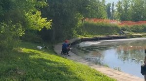 Женский угол.Осетрина