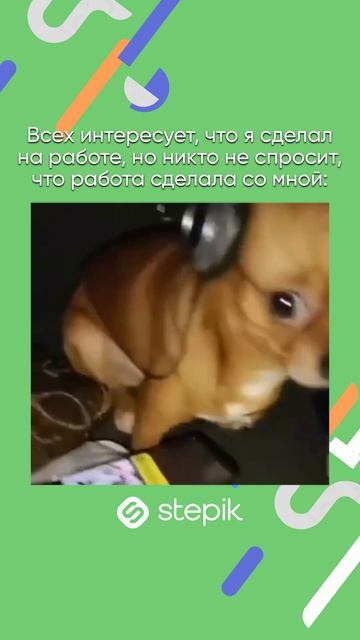 Ссылка на каталог в описании видео👇 А промокод STEPIKRUTUBE25 дает скидку 15% на любой курс Stepik смотреть онлайн