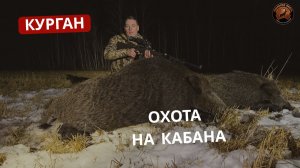 КУРГАН | ОХОТА НА КАБАНА | РЕАЛЬНАЯ ОХОТА