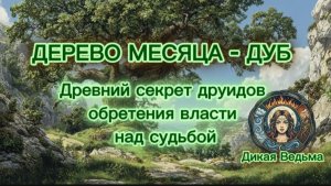 Магические свойства деревьев. Дуб в магии. Ритуал на силу рода от друидов