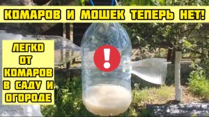 Забыл про КОМАРОВ И МОШЕК на участке в саду и огороде ЛЕГКО!