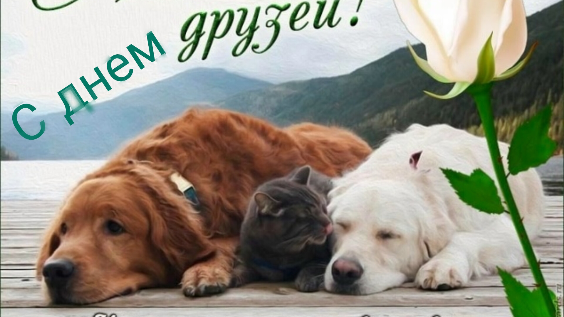 Тусовка лучших! С днём друзей! Роскошная музыкальная открытка.