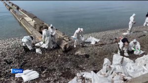 Волонтеры из Башкортостана участвовали в ликвидации разлива нефтепродуктов на черноморском побережье
