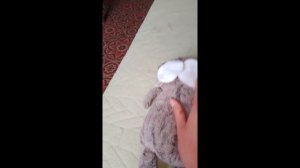 НОВОСТИ БАСИКА ТИМА!🤣