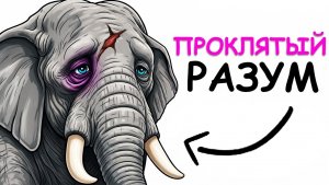 Ты слон (и это полный отстой)