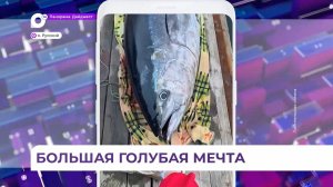 «Это был полнейший шок»: гигантским уловом похвастался приморский рыбак