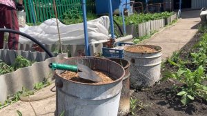 Агроспан, зажимы и стаканы убираю. Томаты открываю.