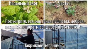 Часть 1. Посмотрите, вся она такая пушистая, добрая, а как начнёт орать, вся деревня сбегается 🤭