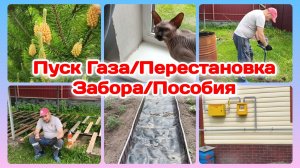 Газификация.Подключили или нет?!/Пришёл ответ на счёт пособий/Начало положено.Забор  Часть 2