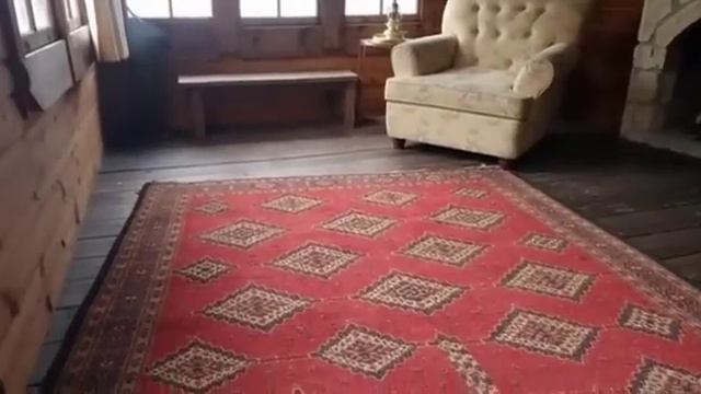 Я вырастила палласового кота. смотреть онлайн