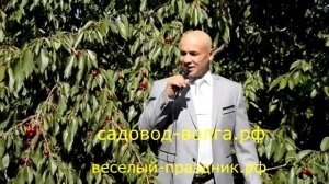 Что так сердце растревожено