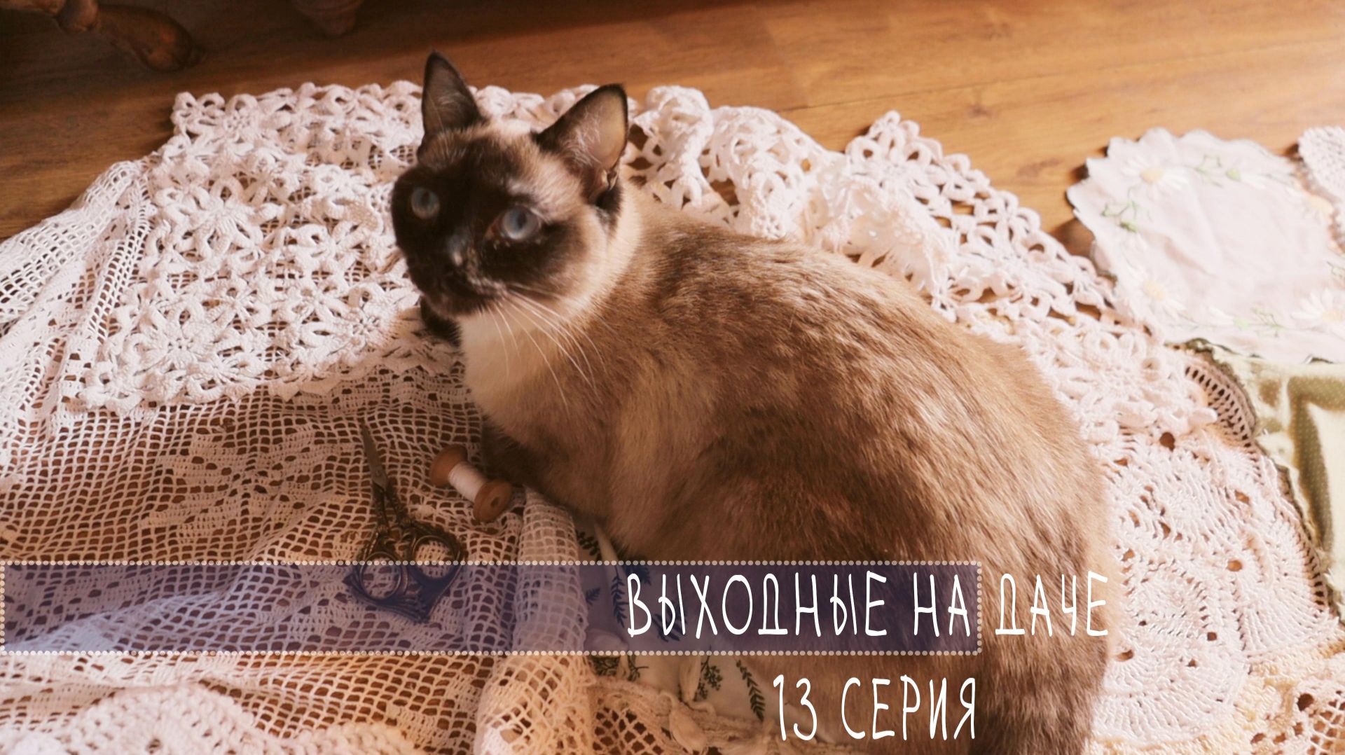 выходные на ДАЧЕ 13 серия