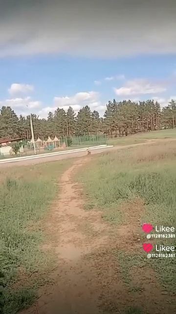 крутые ролики смотреть онлайн