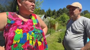 На соседских участках. Беда пришла откуда не ждали. Закучерявились растения.