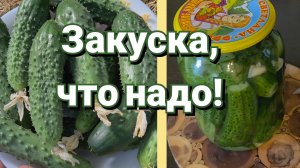 Малосольные огурчики в банке. 5 июня. Тула