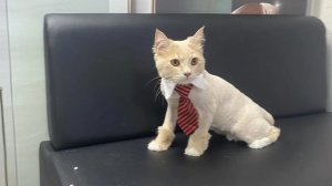 красота страшная сила