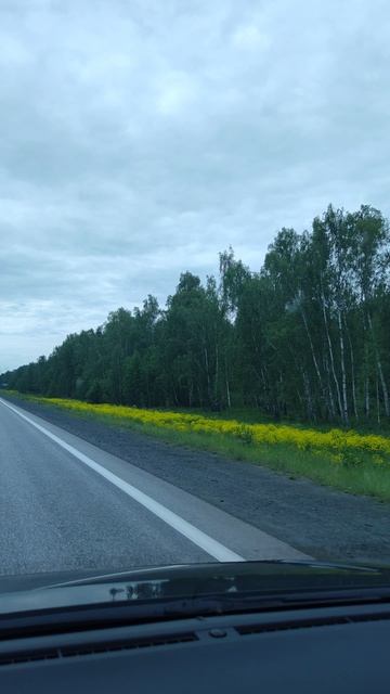 Неброская красота смотреть онлайн