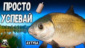 Борьба за крючок! Клёв такой, что не успеваю реагировать #рр4