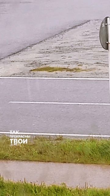 Молодость летит...