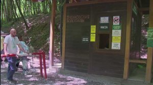 Вход в Сочинский нацпарк подорожал до 300 рублей