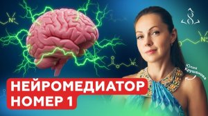 Главный НЕЙРОМЕДИАТОР | Как улучшить ПАМЯТЬ, мотивацию и НЕ бояться Альцгеймера и СДВГ