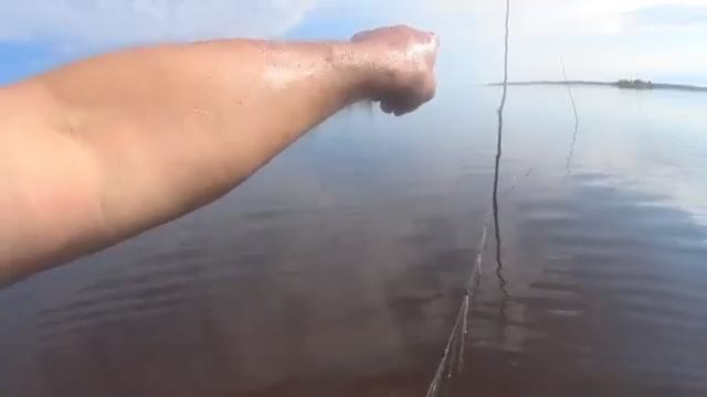 ИДУЩИЙ ПО ВОДЕ! ПРОВЕРЯЮ МОРСКИЕ ЛОВУШКИ НА КОЛАХ! РЫБАЛКА НА БЕЛОМ МОРЕ БЕЗ ЛОДКИ!