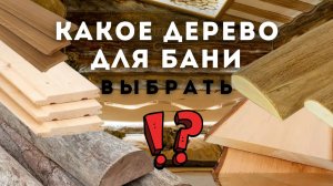 Вагонка, необрезная доска или полубревно — какое дерево выбрать в баню?