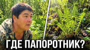 18+ Жизнь в глубинке. Как я с Танюшей ходила собирать папоротник. 22.05.26.