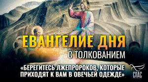«Берегитесь лжепророков, которые приходят к вам в овечьей одежде» / Евангелие дня
