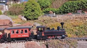 Старт сезона садовой жд! 🚂✨