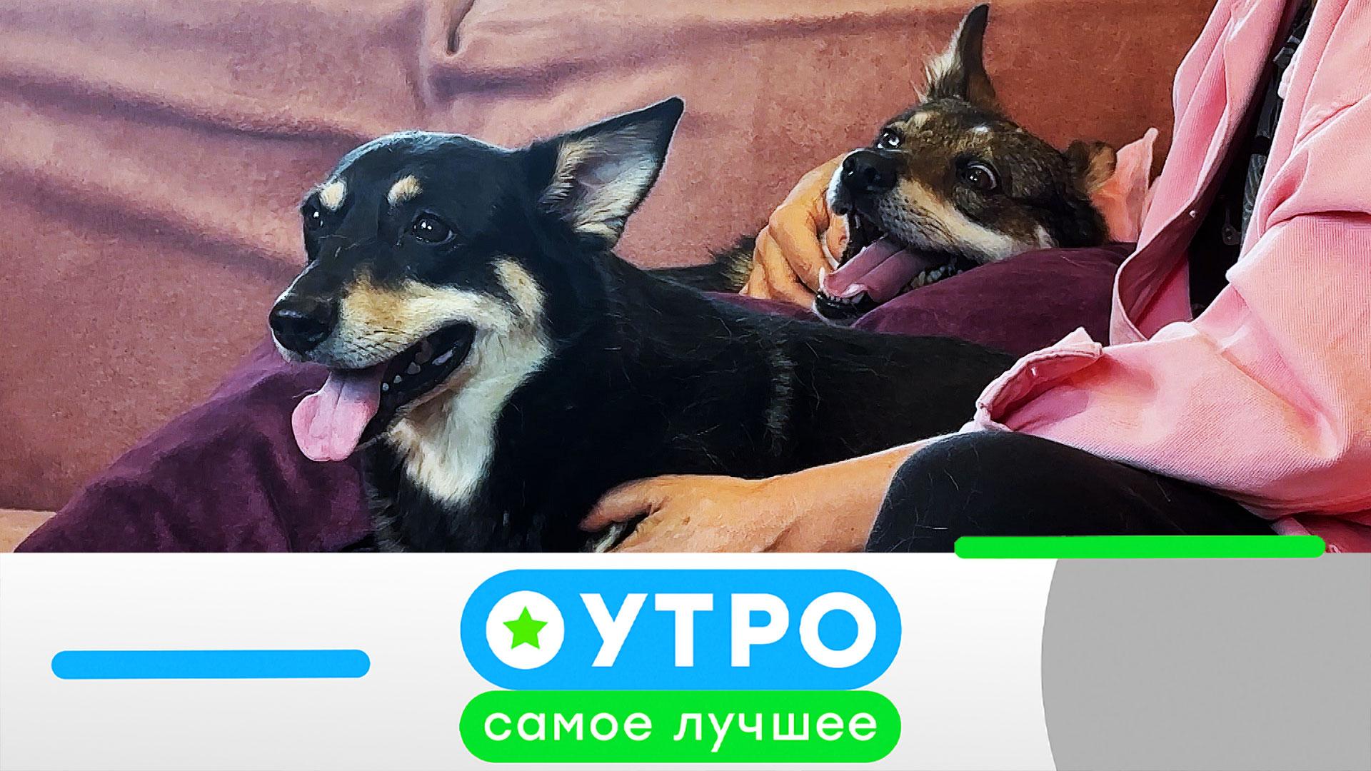 «Утро. Самое лучшее»: 8 июня 2026 года смотреть онлайн