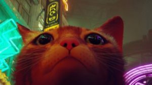 проходим stray. стрим 1: